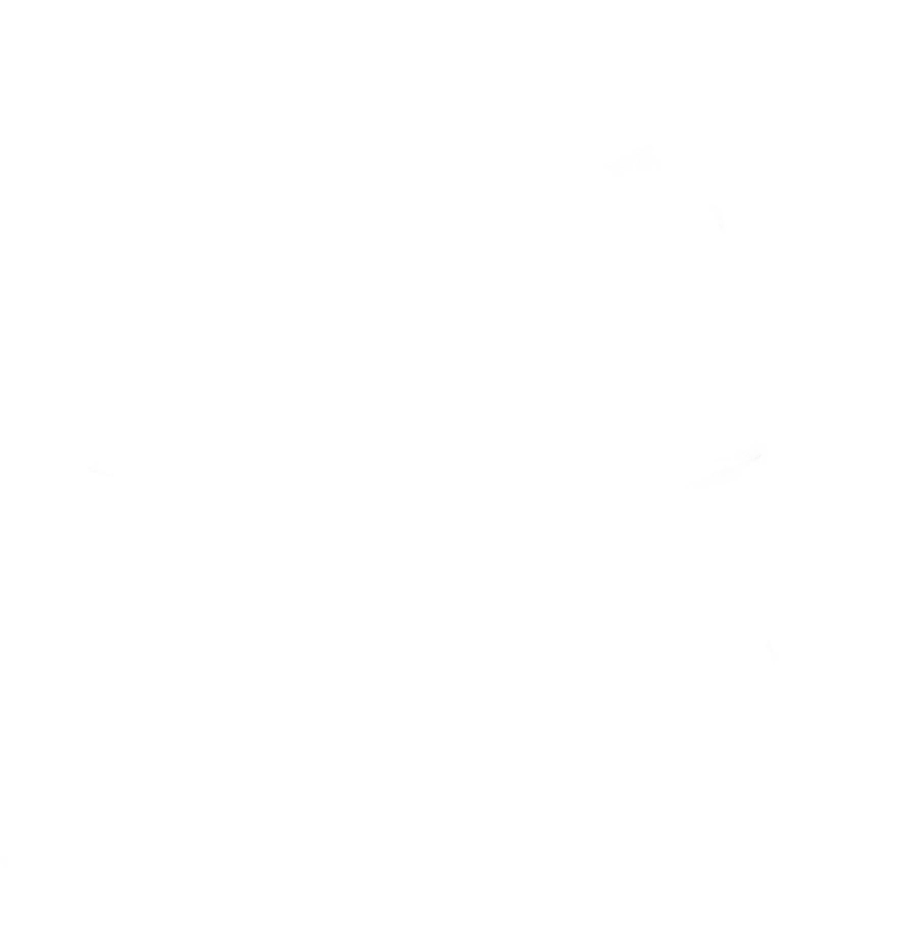 Illustration oiseau