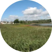 Image zone humide 1