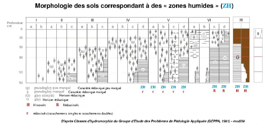 Schéma explicatif